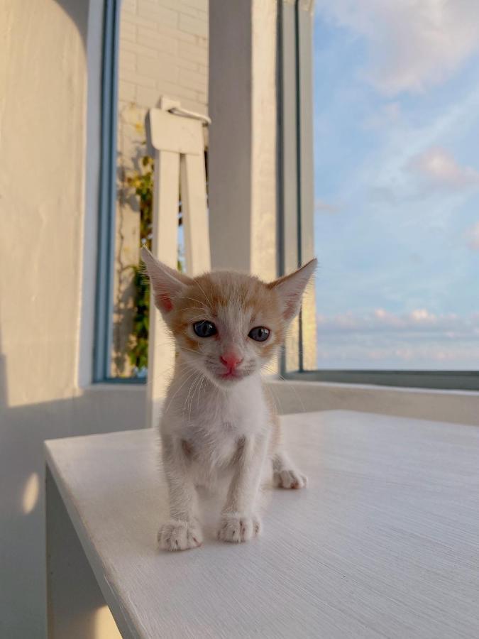 Kenting Met Hi Inn Cape Eluanbi Εξωτερικό φωτογραφία